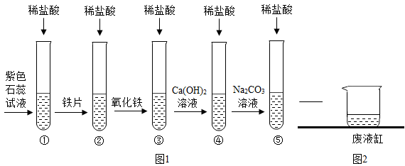 興趣小組的同學對碳酸氫鈉、碳酸鈉、氫氧化鈉的某些性質進行相關探究。