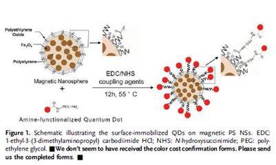 科學網—可同時進行癌癥檢測與熱療的多功能納米球